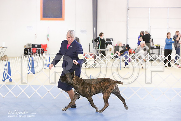 Cane-0412-LR