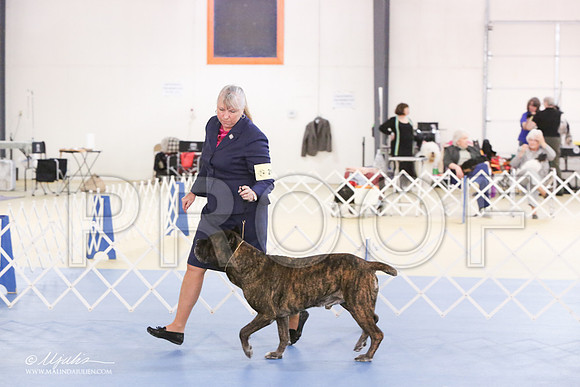Cane-0413-LR