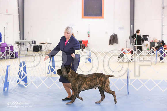 Cane-0414-LR