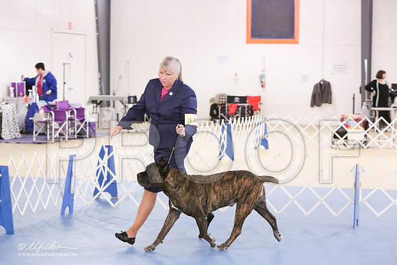 Cane-0415-LR