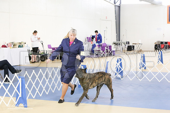 Cane-0417-LR