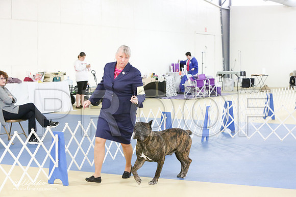Cane-0418-LR