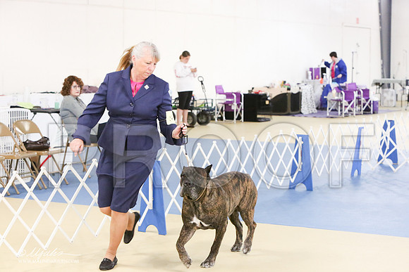 Cane-0421-LR