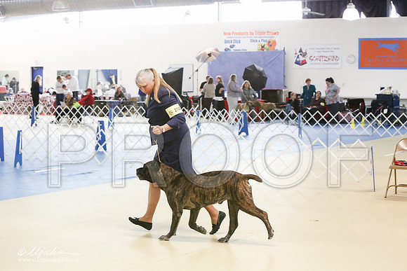 Cane-0422-LR