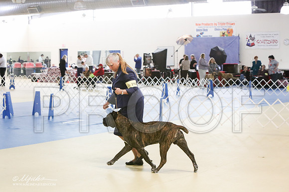 Cane-0423-LR