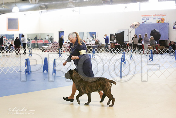 Cane-0424-LR