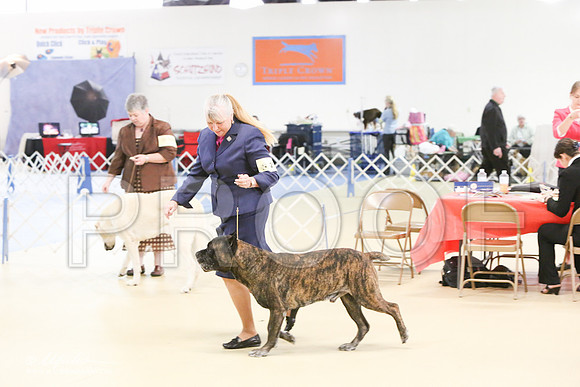 Cane-0594-LR