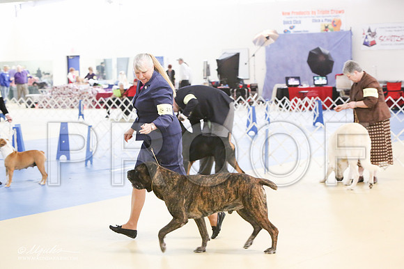 Cane-0599-LR