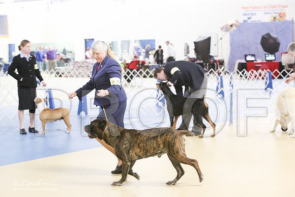 Cane-0600-LR