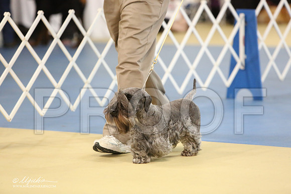 Ces-0776-LR