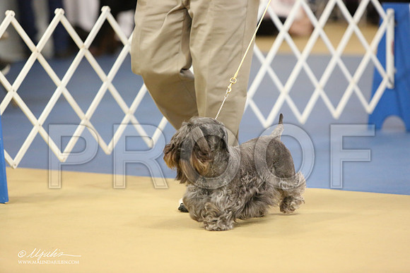 Ces-0777-LR