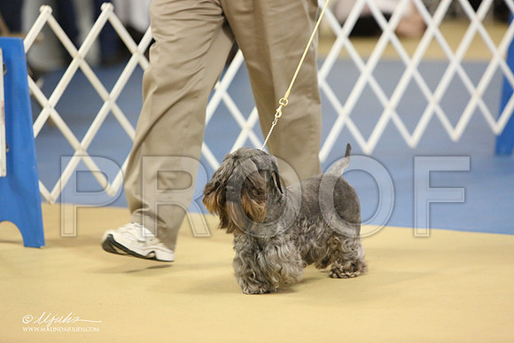 Ces-0778-LR