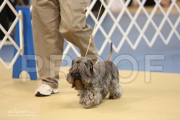 Ces-0780-LR