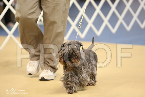 Ces-0782-LR