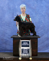 Chinese Crested Sun New Champ Susan Brasel LR IABCA Feb 2013