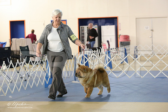 Chow-2789-LR