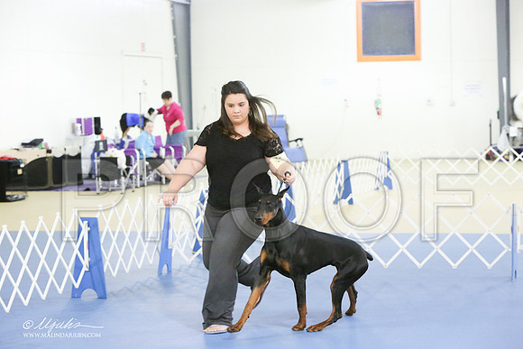 dobe-9817-LR
