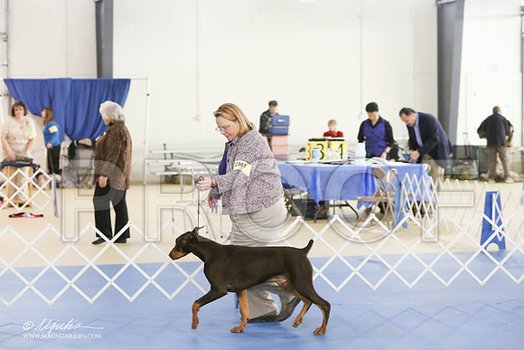 dobe-9823-LR