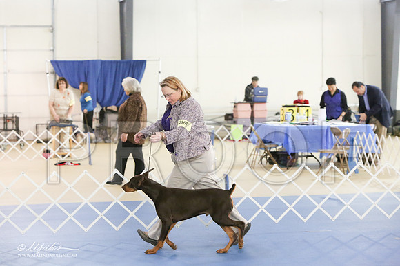 dobe-9824-LR