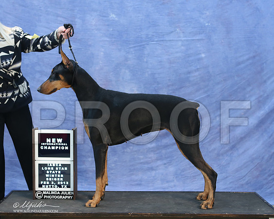 dobe-9750-LR