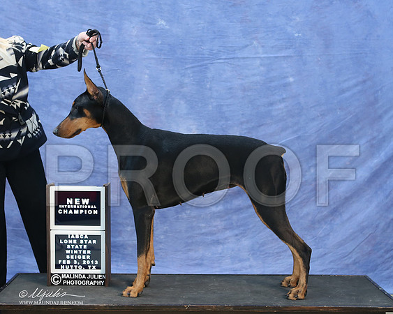 dobe-9753-LR