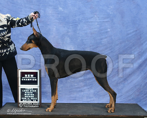 dobe-9751-LR