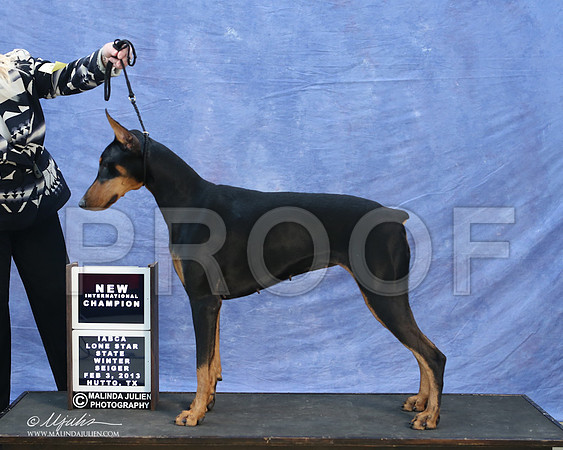 dobe-9754-LR
