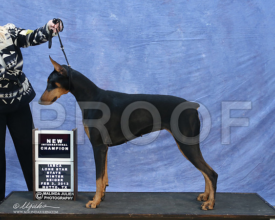 dobe-9755-LR