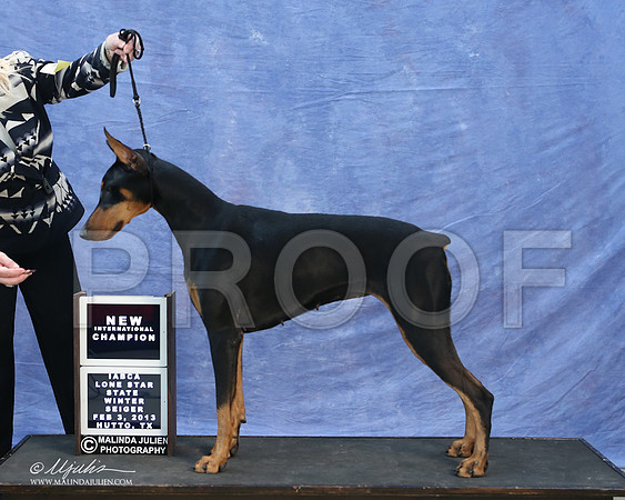 dobe-9757-LR