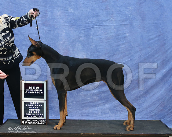 dobe-9758-LR