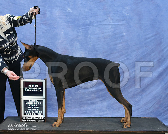 dobe-9762-LR