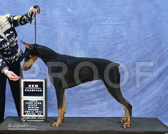 dobe-9761-LR