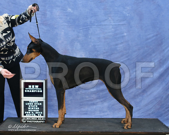 dobe-9759-LR