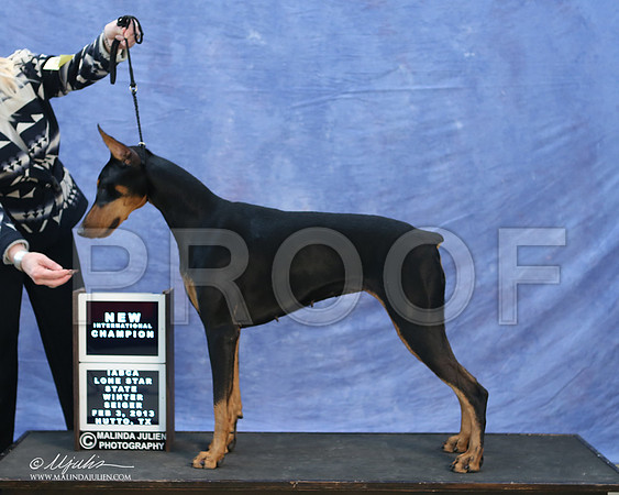 dobe-9760-LR