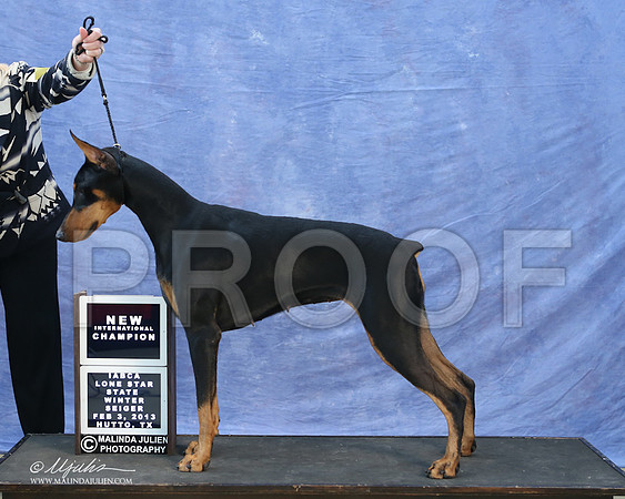 dobe-9763-LR