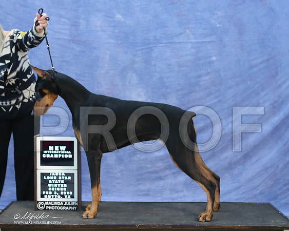 dobe-9767-LR