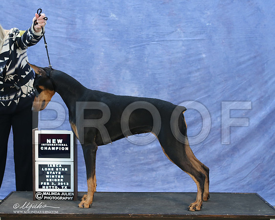 dobe-9768-LR