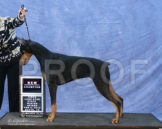 dobe-9769-LR