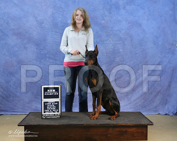 dobe-0288-LR
