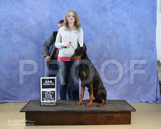dobe-0292-LR