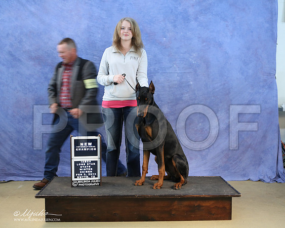 dobe-0294-LR