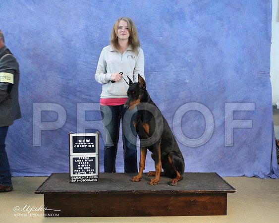 dobe-0295-LR