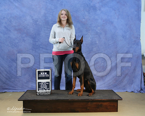 dobe-0302-LR
