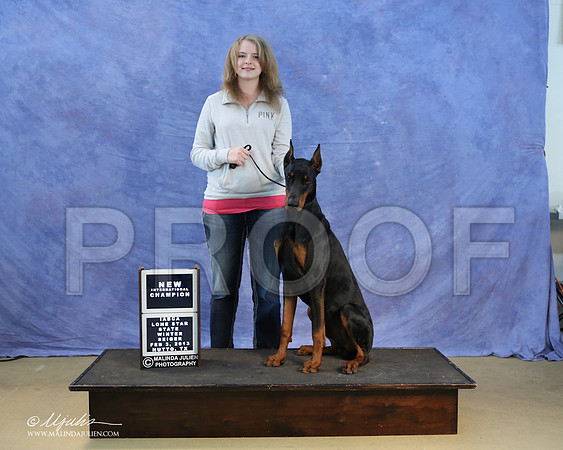 dobe-0304-LR