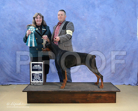 dobe-0265-LR