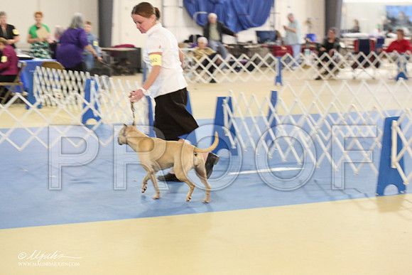 APBT-2152-LR
