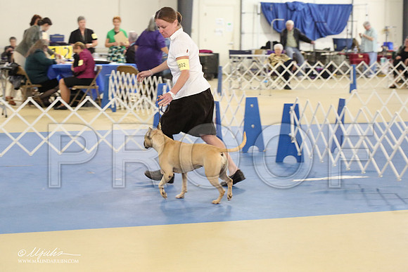 APBT-2153-LR