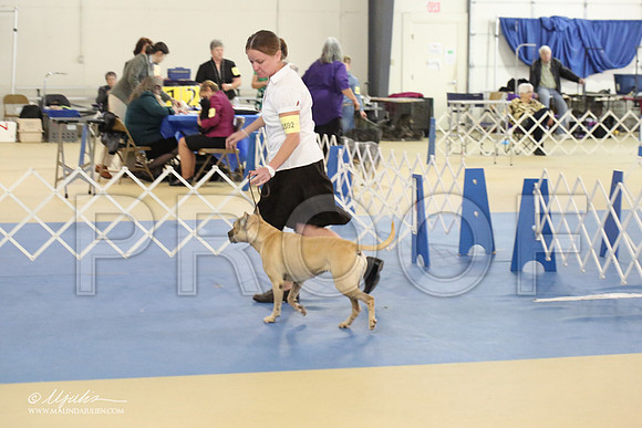 APBT-2154-LR