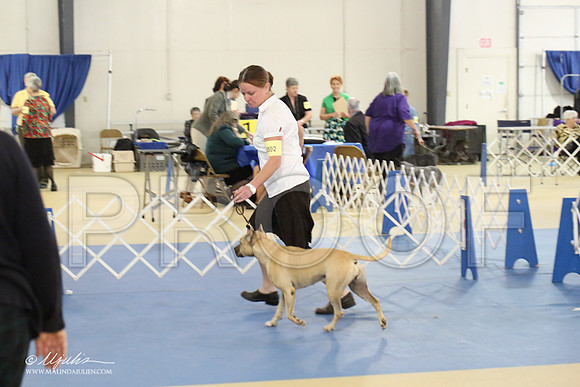 APBT-2155-LR