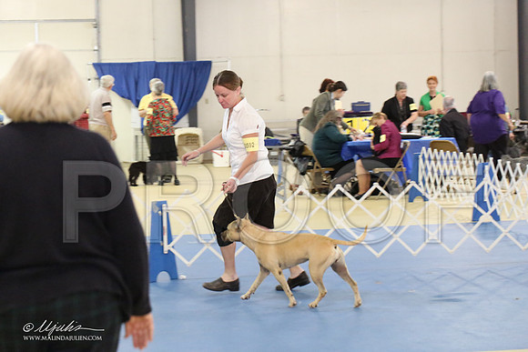 APBT-2157-LR
